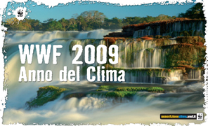 296_wwf_calendario