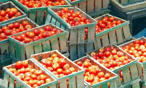 pomodori_casse_296