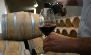 cantina_296