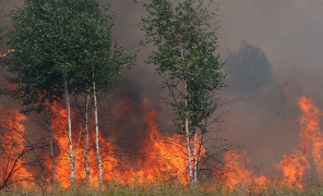 russia_incendi2_296