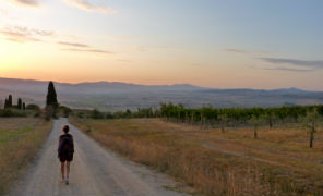 via_francigena_296